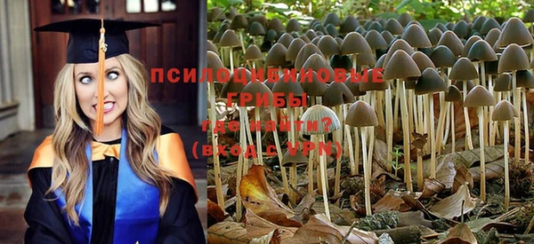 твердый Волоколамск