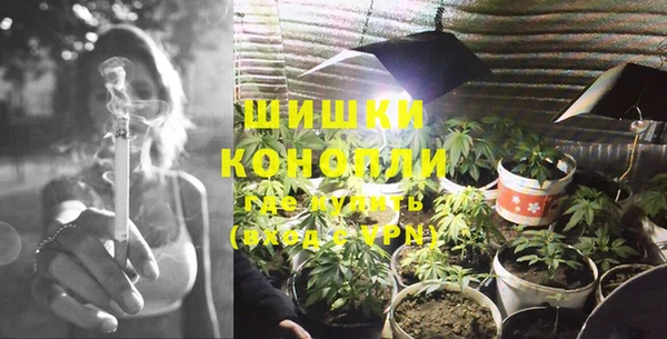 трава Бородино