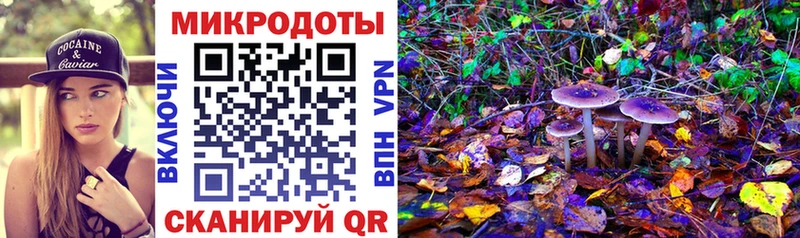 даркнет сайт  Зубцов  Псилоцибиновые грибы Cubensis 