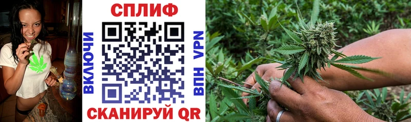 Канабис семена  Зубцов 